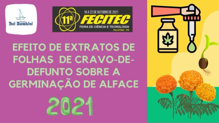 FECITEC - Efeito de extratos de folhas x germinação de alface